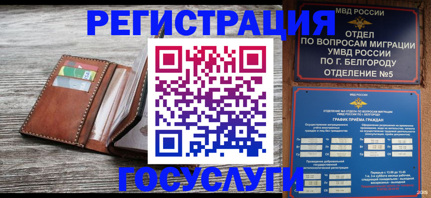 временная регистрация гарантия в Славгороде